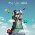 Perspective Music CD
