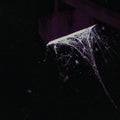 Across The Park B/W Sevens [Vinyl Single] Vinyl Record