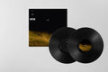 Ghosts (2LP)