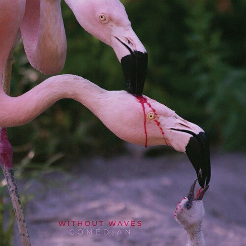 Without Waves - Comedian - Music CD