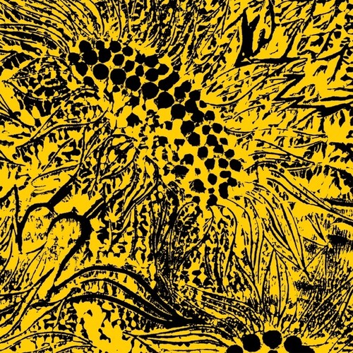 Whiting, Amanda - Little Sunflower - Vinyl Record