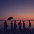 Slackers - Don't Let The Sunlight Fool Ya - Vinyl Record