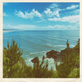 Nothing But Summer [7" Vinyl] Vinyl Record