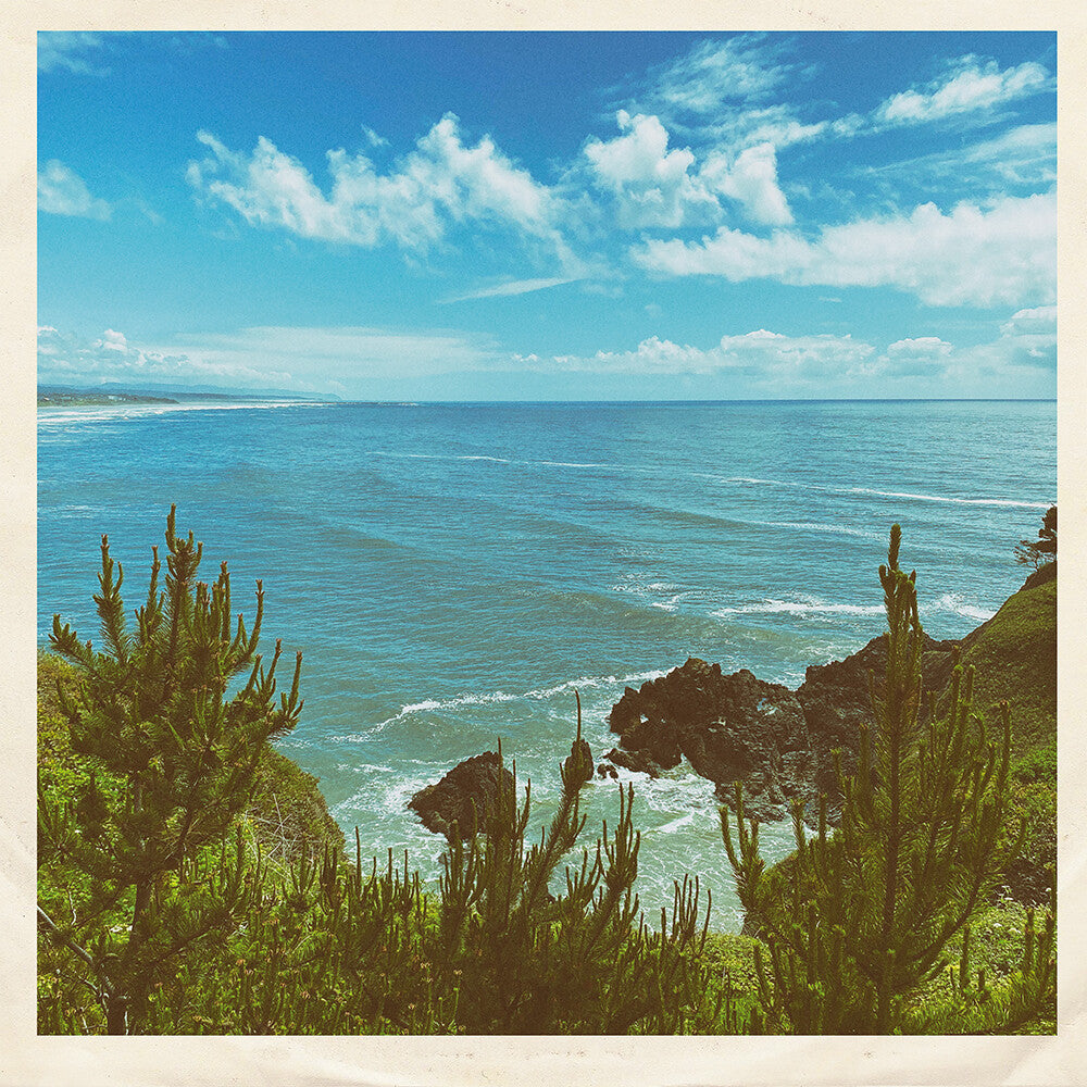 Nothing But Summer [7" Vinyl] Vinyl Record