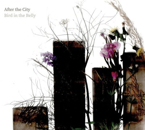 Bird In The Belly - After The City - Music CD