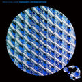 Chillage,mick - Variants Of Perception - Music CD