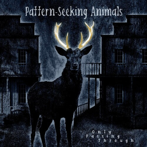 Pattern-seeking Animals - Only Passing Through - Vinyl Record