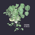 Vacations - Vibes (Mod) [CD]
