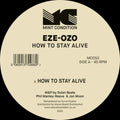 How To Stay Alive [12" Vinyl] Vinyl Record