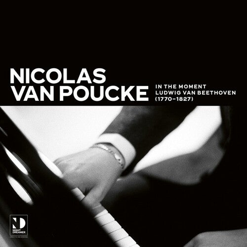 Poucke - In The Moment - Vinyl Record