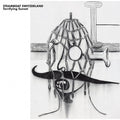 Steamboat Switzerland - Terrifying Sunset - Vinyl Record