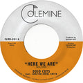 Dojo Cuts - Here We Are - Vinyl Record
