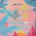 Raw Poetic / Damu The Fudgemunk - Laminated Skies - Vinyl Record