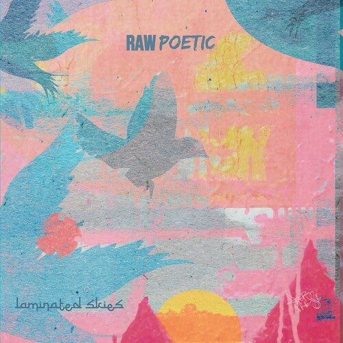 Raw Poetic / Damu The Fudgemunk - Laminated Skies - Vinyl Record