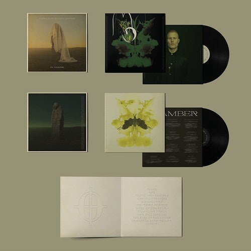 Hercules & Love Affair - In Amber [2LP]