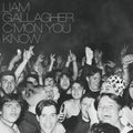 Gallagher,liam - C'mon You Know - Vinyl Record