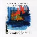 Vibracathedral Orchestra - Dabbling With Gravity & Who You Are - Music CD