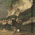 Rainforest Spiritual Enslavement - Flying Fish Ambience - Music CD