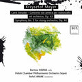 Meyer / Koziak - Canti Amadei - Music CD