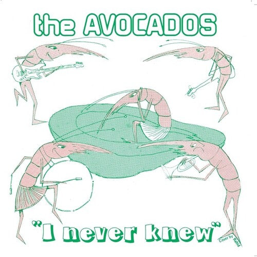 Avocados - I Never Knew - Vinyl Record