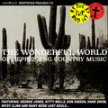 Wonderful World Of Depressing Country Music / Var - Wonderful World Of Depressing Country Music / Var - Music CD