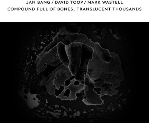 Bang,jan / Toop,david / Wastell,mark - Compound Full Of Bones Translucent Thousands - Music CD