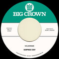 Surprise Chef - Velodrome B/w Spring's Theme - Vinyl Record