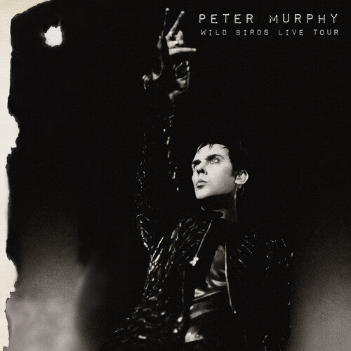 Murphy,peter - Wild Birds Live Tour - Vinyl Record