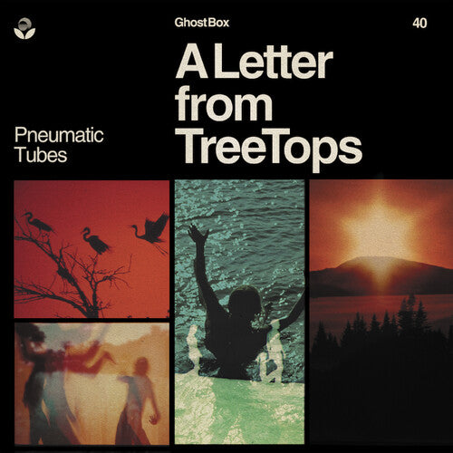 Pneumatic Tubes - Letter From Treetops - Vinyl Record