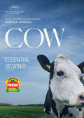 Cow - Cow - DVD