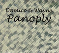 Wayne,hayden / Damico,jason - Panoply Damico & Wayne - Music CD