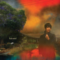 Sharon Van Etten - We've Been Going About This All Wrong [LP]