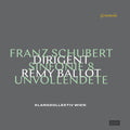 Schubert / Klangkollektiv Wien - Die Unvollendete 4 - Vinyl Record