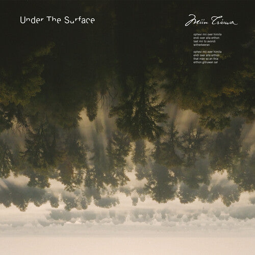 Stadhouders / Under The Surface - Miin Triuwa - Music CD