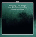 Briegel / Ensemble Polyharmonique / Eichhorn - Zwolff Madrigalische - Music CD