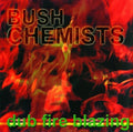 Bush Chemists - Dub Fire Blazing - Vinyl Record