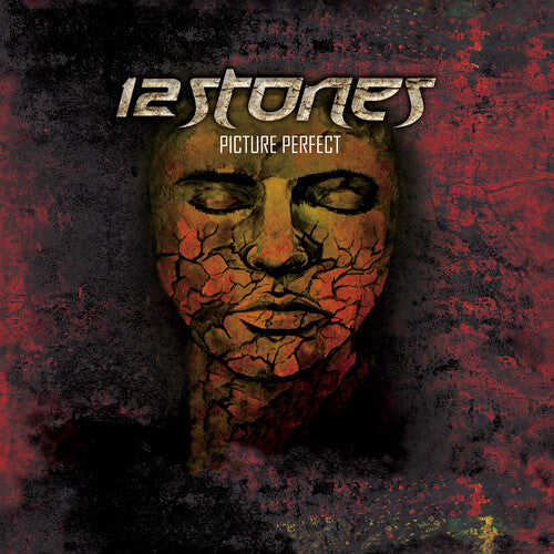 12 Stones - Picture Perfect - Vinyl Record