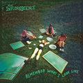 Inflorescence - Remember What I Look Like - Vinyl Record