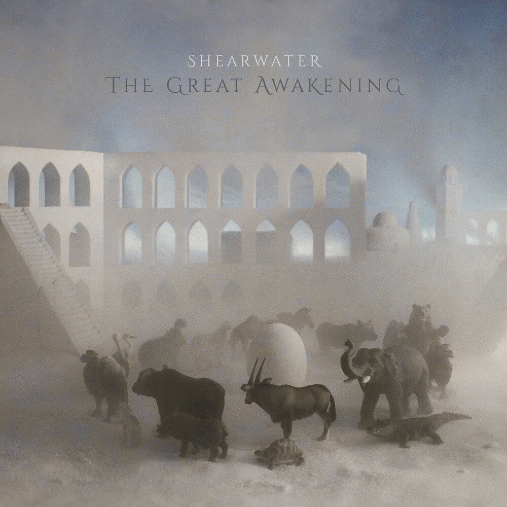 The Great Awakening [2LP] Vinyl Record