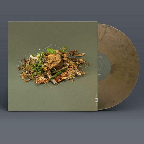 Mccreadie,fergus - Forest Floor - Vinyl Record