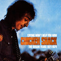 Chicken Shack - Crying Won't Help You Now: Deram Years 1971-1974 - Music CD
