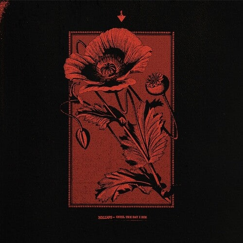 Kollaps - Until The Day I Die - Vinyl Record