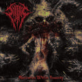 Sijjeel - Salvation Within Insanity - Music CD