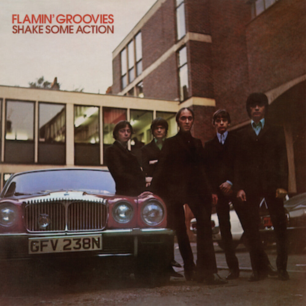 Flamin' Groovies - Shake Some Action [LP]