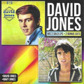 Davy Jones - His 2 Lps On 1 Cd & 2 Bonus Cuts - Music CD