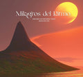 Milagros Del Ritmo / Various - Milagros Del Ritmo / Various - Vinyl Record