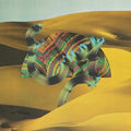 Django Django - Django Django: 10th Anniversary Edition - Vinyl Record