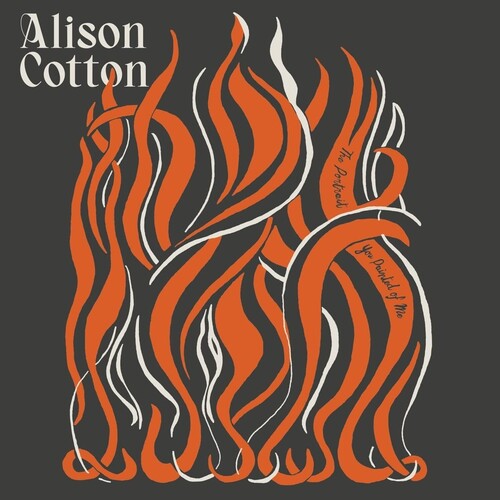 Cotton,alison - Portrait You Painted Of Me - Vinyl Record
