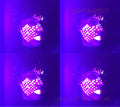 Barrett,abbie - I Will Let You Know - Music CD