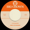 I Can Remember B/W Sitting In The Park [7" Vinyl] Vinyl Record